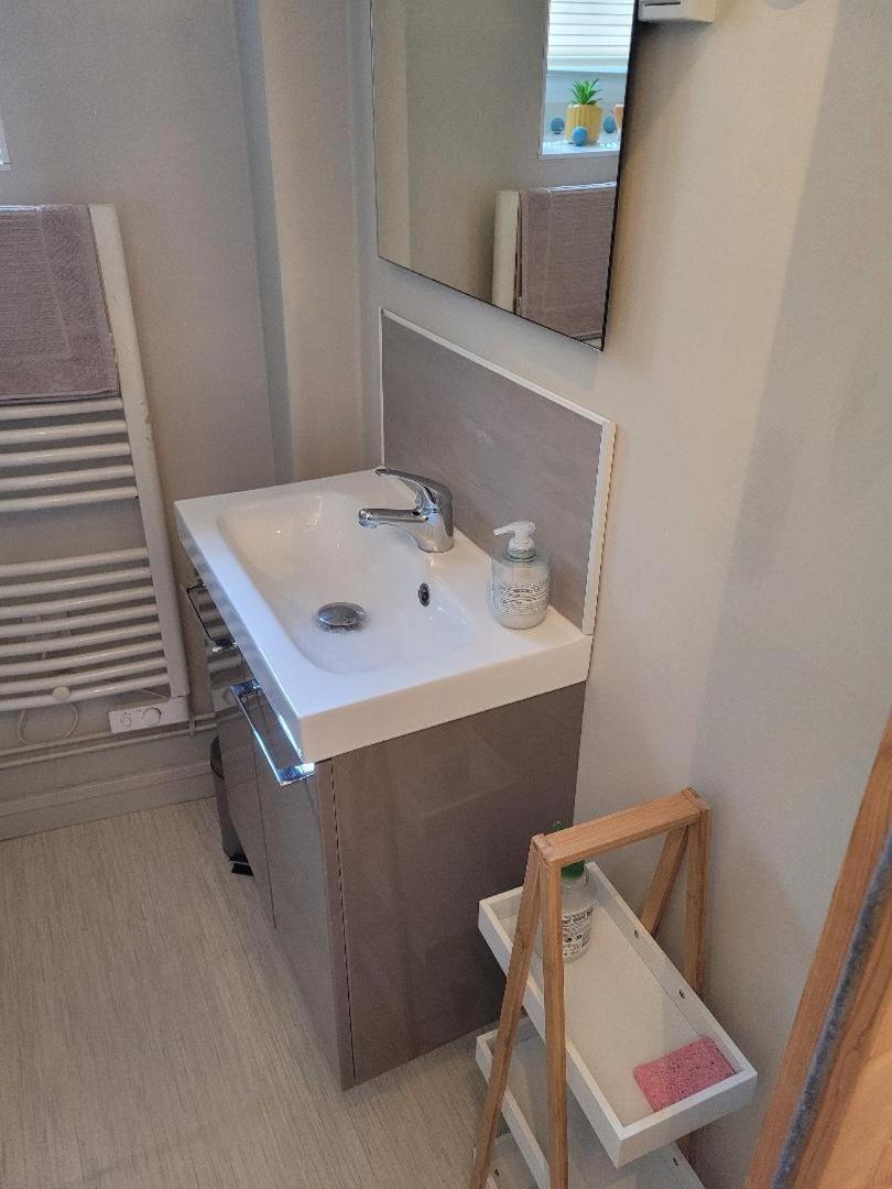 Appartement Studio Bourbon à La Roche-Posay Extérieur photo